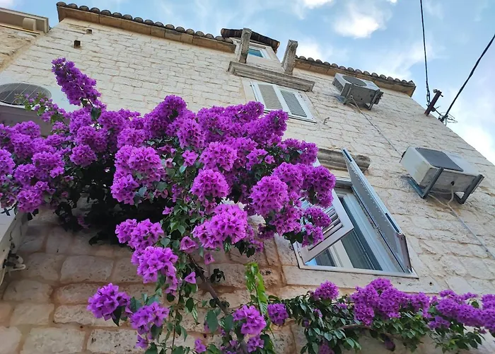 Carol Maison d'hôtes Trogir