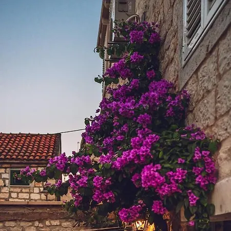 Carol 3* Trogir