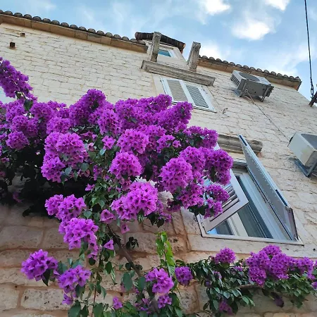 Carol Guest house Trogir