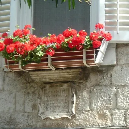 Guest house Carol