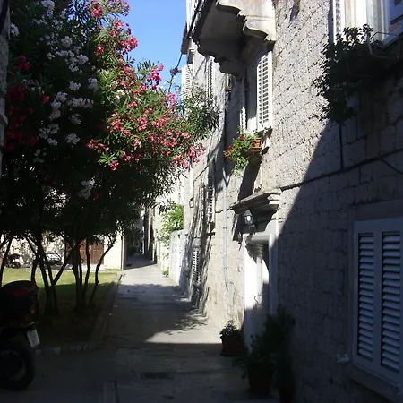 Carol Guest house